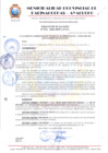 Vista preliminar de documento RESOLUCION 341