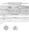 Vista preliminar de documento RESULTADO PRELIMINAR