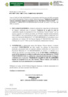 Vista preliminar de documento AUTO DIRECTORAL 027-2025-GRA-GRDE-DREM