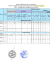 Vista preliminar de documento RESULTADO PRELIMINAR