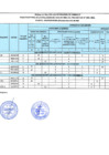 Vista preliminar de documento RESULTADO 