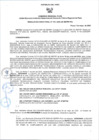 Vista preliminar de documento RD N°116-2025 RECONFORMACION INSPECTOR Y ESPECIALISTAS-LUCIANO CASTILLO
