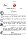 Vista preliminar de documento Resolucion Directoral N° 003132-2025