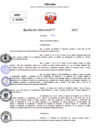 Vista preliminar de documento Resolucion Directoral N° 003133-2025