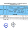 Vista preliminar de documento RESULTADO 