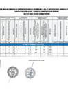 Vista preliminar de documento RESULTADO 