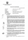 Vista preliminar de documento RESOLUCION N° 0235-2025-MINEM-CM