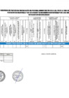 Vista preliminar de documento RESULTADO PRELIMINAR