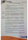 Vista preliminar de documento Resolución de Alcaldia N° 007-2025- MDS