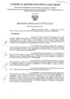 Vista preliminar de documento RD Nº 3924-2024 - IE 205