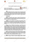 Vista preliminar de documento 205