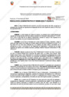 Vista preliminar de documento 206