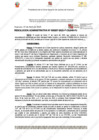 Vista preliminar de documento 207