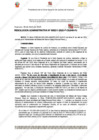 Vista preliminar de documento 211