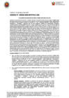 Vista preliminar de documento ADENDA N° 000022-2025-MPCP/ALC-GM