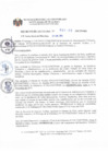 Vista preliminar de documento DECRETO DE ALCALDIA N°001-2020-MCPSMH 