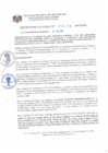 Vista preliminar de documento DECRETO DE ALCALDIA N°013-2019-MCPSMH 