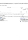 Vista preliminar de documento Cuadro Multianual de Necesidades MDNC-051-2025