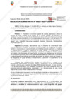 Vista preliminar de documento 217