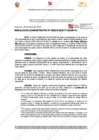 Vista preliminar de documento 219