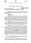 Vista preliminar de documento 224