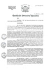 Vista preliminar de documento R.D.E. N°034-2025-HNAL-OEA