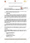 Vista preliminar de documento 225