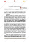 Vista preliminar de documento 227