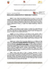 Vista preliminar de documento 233