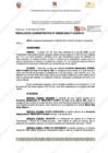 Vista preliminar de documento 235