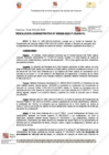 Vista preliminar de documento 238