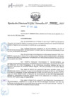 Vista preliminar de documento RESOLUCION DIRECTORAL 000691 - 2025 YAROWILCA (1)