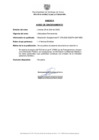 Vista preliminar de documento Resolución N° 278-2025-SGGTH-GAF-MSS - AVISO DE SINCERAMIENTO
