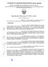 Vista preliminar de documento RD Nº 3927-2024 - IE 306