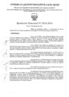Vista preliminar de documento RD Nº 3928-2024 - IE 311