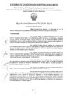 Vista preliminar de documento RD Nº 3933-2024 - IE 451