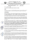 Vista preliminar de documento 220-2025-MPJA