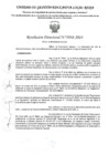 Vista preliminar de documento RD Nº 39378-2024 - IE 1215