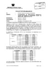 Vista preliminar de documento RD N°384-2004-MEM-AAM