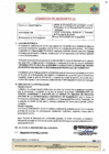 Vista preliminar de documento TDR Nº 1620