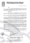 Vista preliminar de documento RESOLUCION N°046-2025