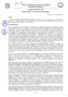Vista preliminar de documento ANEXO DE LA RES Nª 163-2025-CU-UNAMBA
