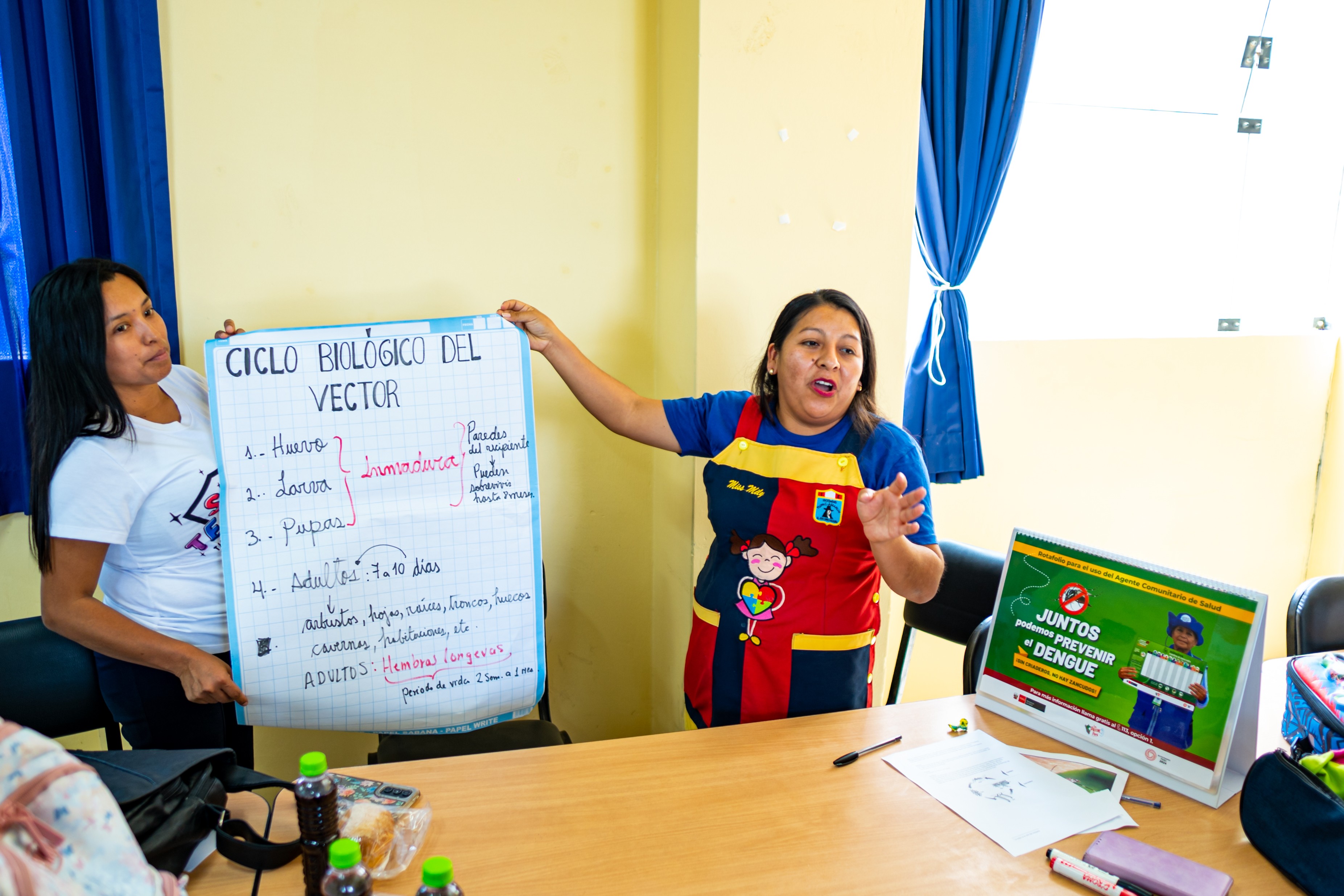 docentes exposición