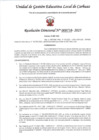 Vista preliminar de documento RD 738-2025 - SANCIONAR CESE 12 MESES SIN GOCE - VILLARREAL LAZARTE EUGENIO