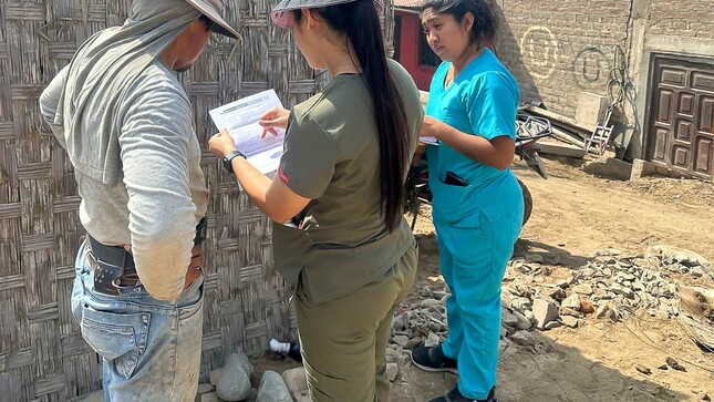 visitas