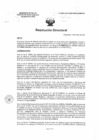 Vista preliminar de documento R.D. 0565-2025-DMID-DIRIS- LE-MINSA