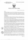Vista preliminar de documento R.D. 0571-2025-DMID-DIRIS- LE-MINSA