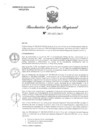 Vista preliminar de documento RER 241-2025