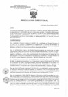 Vista preliminar de documento R.D. 0572-2025-DMID-DIRIS- LE-MINSA