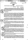 Vista preliminar de documento RGSR_2025_271